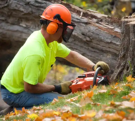 tree services Minot AFB